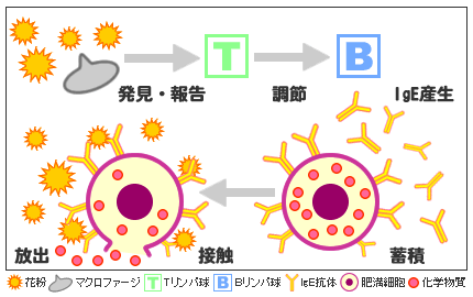 �ԕ��ǃ��[�U�[����