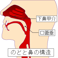 �ԕ��ǃ��[�U�[����